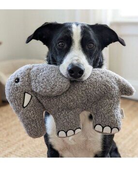 Earl the Elephant Fleece Dog Toy -Durable Double-Stitched Squeaker & Crinkle Toy